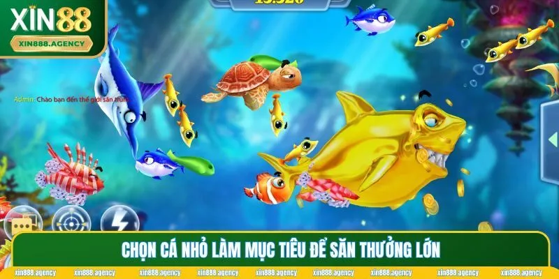 Chọn cá nhỏ làm mục tiêu hướng đến việc săn thưởng lớn