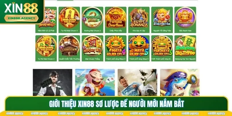 Giới thiệu XIN88 sơ lược để người mới nắm bắt