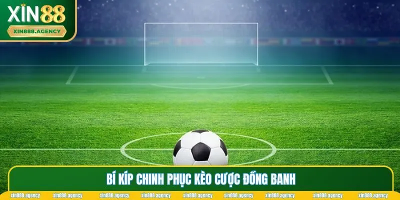 Những chiến lược bất bại khi tham gia kèo cược đồng banh