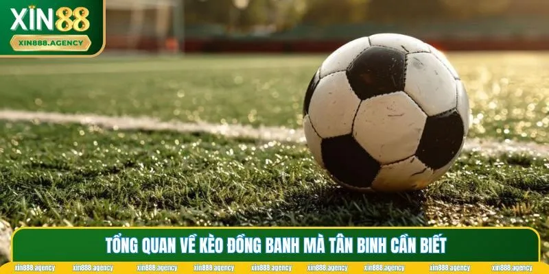 Những thông tin cơ bản về kèo đồng banh tại XIN88