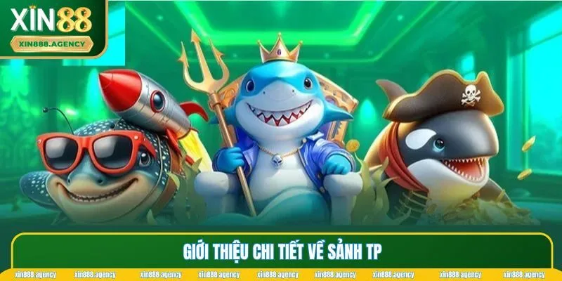 Giới thiệu chi tiết về sảnh TP