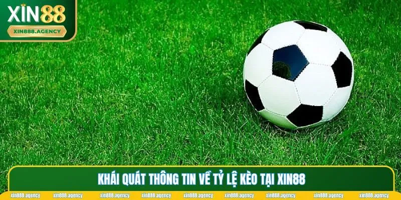 Những thông tin cơ bản về tỷ lệ kèo XIN88