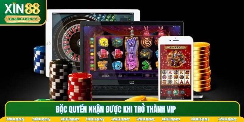 Đặc quyền mà tài khoản Vip sẽ nhận được 