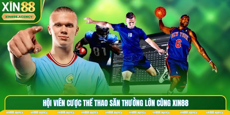 Hội viên cược thể thao săn thưởng lớn